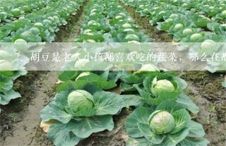 胡豆是老人小孩都喜欢吃的蔬菜，那么在胡豆种植时要