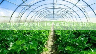 #秋补#蔬菜沙拉用哪些蔬菜效果比较好？