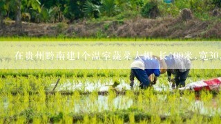 在贵州黔南建1个温室蔬菜大棚,长100米,宽30,需要多少造价