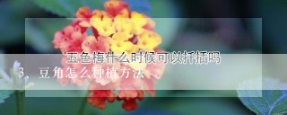 豆角怎么种植方法