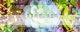 请教农业专家：一穴三株玉米种植法，玉米能木增多少