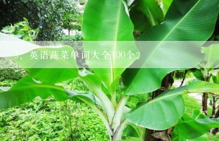 英语蔬菜单词大全100个？