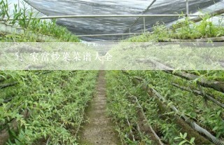 家常炒菜菜谱大全