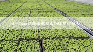 上海浦东新区蔬菜批发市场哪里批量大