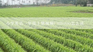 小学英语一年级上册视频l'mliutao怎么读