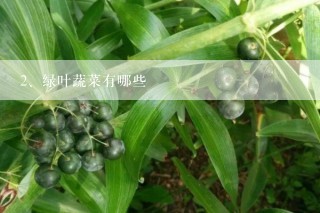 绿叶蔬菜有哪些