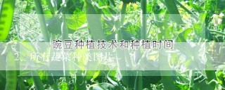 所有蔬菜种类图片