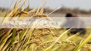 在哪里蔬菜供求信息免费发布