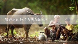 银杏树的种植方法和地点？