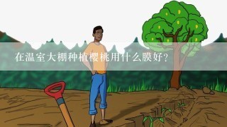 在温室大棚种植樱桃用什么膜好？