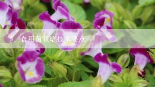 食用菌栽培技术要点