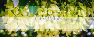 网上买菜有哪些平台