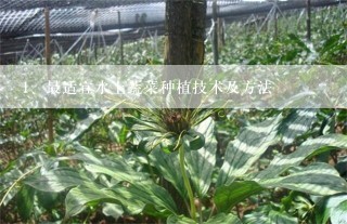 最适宜水上蔬菜种植技术及方法