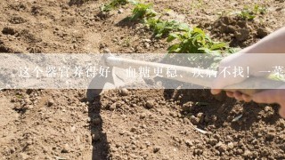 这个器官养得好，血糖更稳、疾病不找！一菜、一茶、