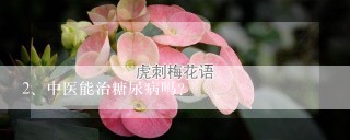 中医能治糖尿病吗？