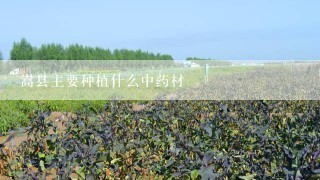 嵩县主要种植什么中药材