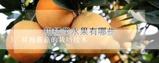 双孢蘑菇的栽培技术