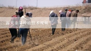 露天韭菜种植技术视频