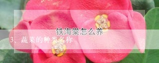 蔬菜的种类名称