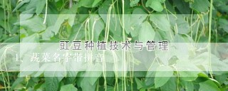 蔬菜名字带拼音