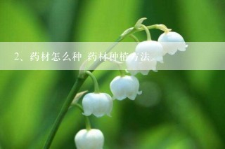 药材怎么种 药材种植方法