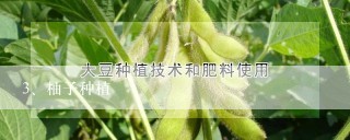 柚子种植