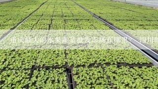 重庆最大的水果蔬菜批发市场在哪里？ 四川的水果和