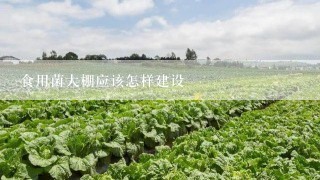 食用菌大棚应该怎样建设