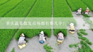 重庆蔬菜批发市场都有那几个？