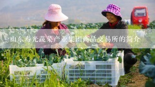 山东寿光蔬菜产业集团商品交易所的简介