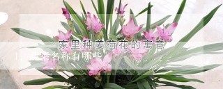 蔬菜名称有哪些