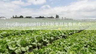 fruit和vegetable什么时候要用复数形式