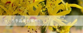 当季蔬菜有哪些？