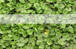 蔬菜的拼音是什么?