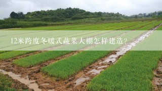 12米跨度冬暖式蔬菜大棚怎样建造？