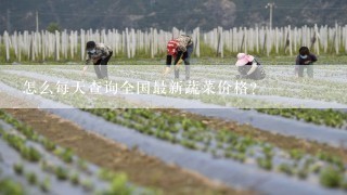 怎么每天查询全国最新蔬菜价格？