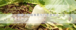 蔬菜名的拼音有哪些？