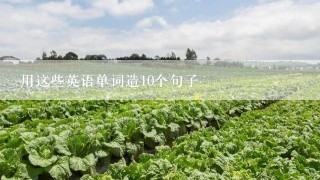 用这些英语单词造10个句子