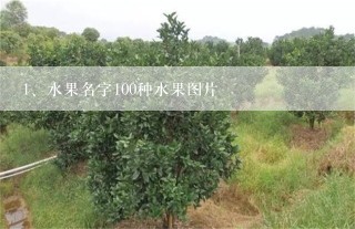 水果名字100种水果图片