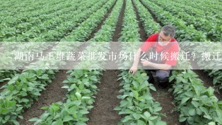 湖南马王堆蔬菜批发市场什么时候搬迁？搬迁到那里？