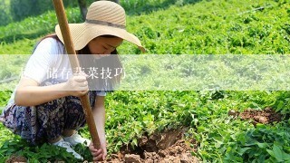 超市储存蔬菜技巧