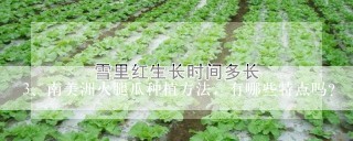 南美洲火腿瓜种植方法，有哪些特点吗？