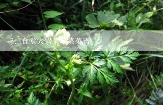 食堂大锅菜荤菜菜谱