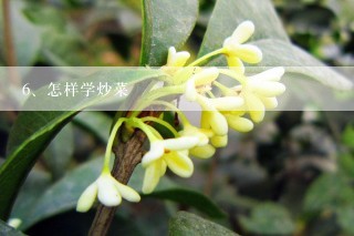 怎样学炒菜