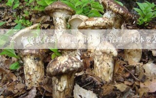 都说秋香菜种植需加强田间管理，具体要怎么做呢？