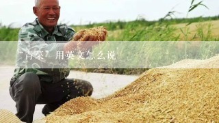 “青菜”用英文怎么说