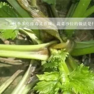 秋季多吃排毒又养颜，蔬菜沙拉的做法是什么？