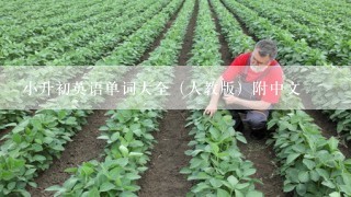 小升初英语单词大全（人教版）附中文