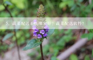 蔬菜配送系统哪家好？蔬菜配送软件？