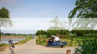 瓜果蔬菜批发市场项目建议书